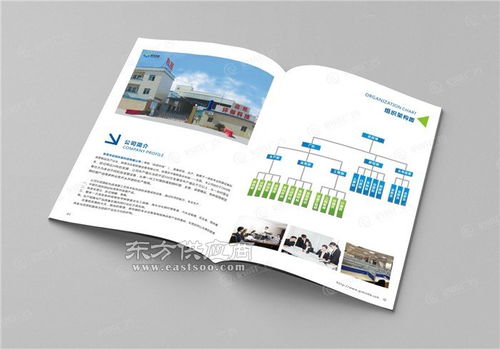 启成广告一步到位 玩具公司宣传画册 东莞石碣公司宣传画册图片