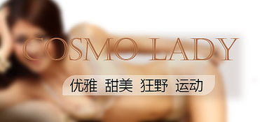 广告集